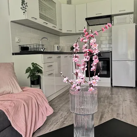 Jodelkowy Kacik Appartement *