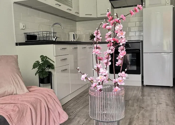 Jodelkowy Kacik Appartement *